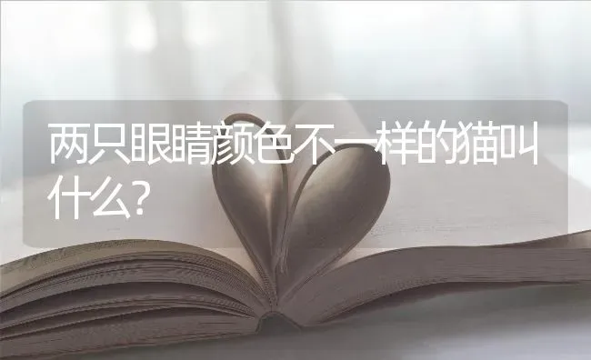 哈士奇，小时候是蓝眼，长大后是不是会变了？ | 动物养殖问答