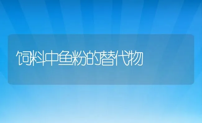 饲料中鱼粉的替代物 | 动物养殖饲料