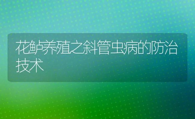 花鲈养殖之斜管虫病的防治技术 | 动物养殖饲料