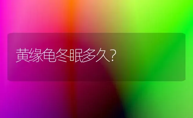 黄缘龟冬眠多久？ | 动物养殖问答