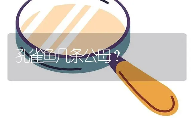 孔雀鱼几条公母？ | 鱼类宠物饲养