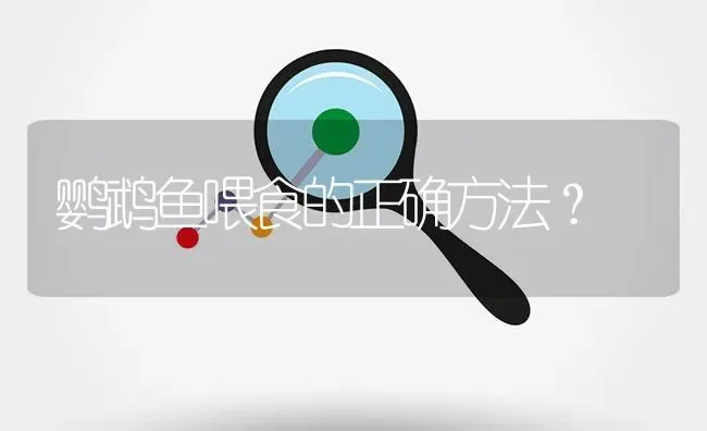 鹦鹉鱼喂食的正确方法？ | 鱼类宠物饲养