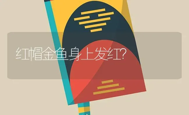 红帽金鱼身上发红？ | 鱼类宠物饲养