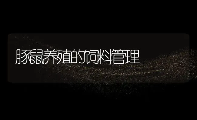 蟑螂的采收 | 动物养殖教程