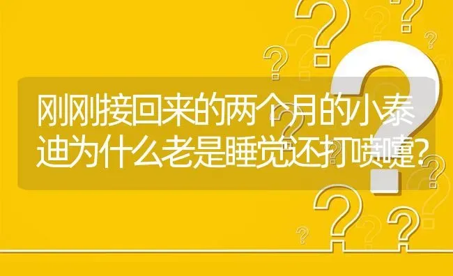 刚刚接回来的两个月的小泰迪为什么老是睡觉还打喷嚏？ | 动物养殖问答