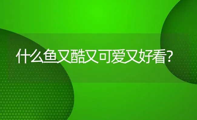 什么鱼又酷又可爱又好看？ | 鱼类宠物饲养