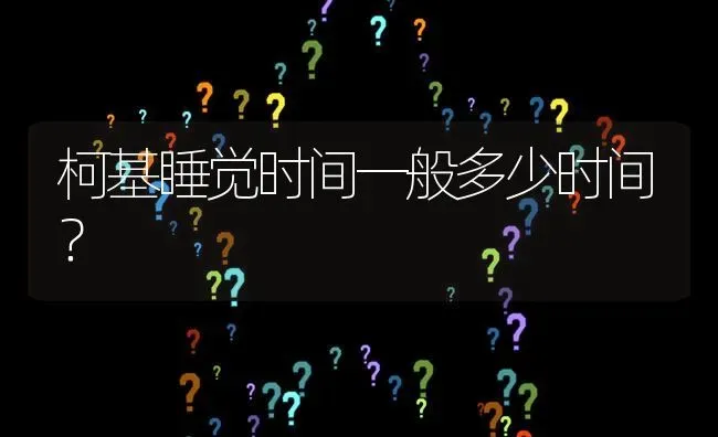 柯基睡觉时间一般多少时间？ | 动物养殖问答