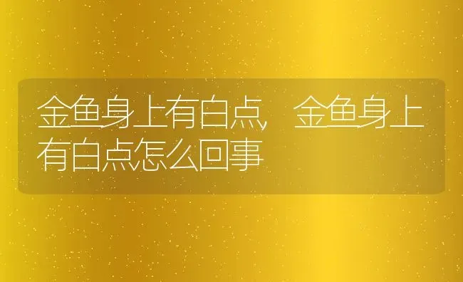 金鱼身上有白点,金鱼身上有白点怎么回事 | 宠物百科知识