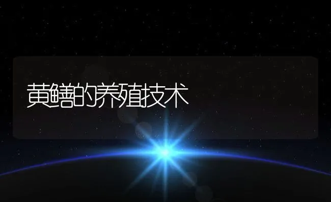 黄鳝的养殖技术 | 动物养殖饲料