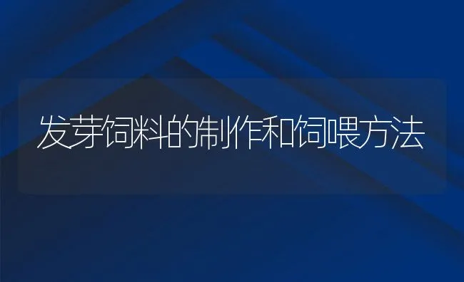 低成本蛋白饲料介绍 | 动物养殖饲料