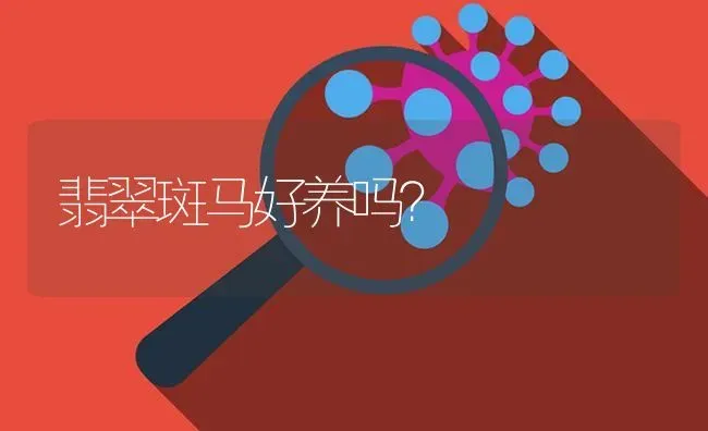 翡翠斑马好养吗？ | 鱼类宠物饲养