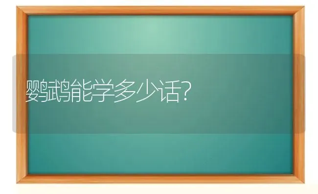 鹦鹉能学多少话？ | 动物养殖问答