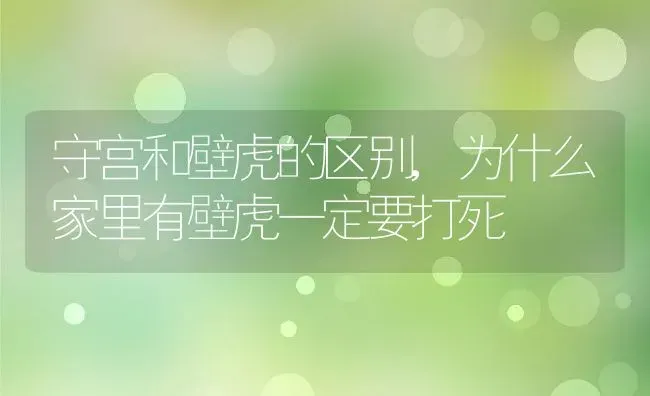 狗能吃巧克力吗,狗能吃巧克力吗吃了会死吗 | 宠物百科知识