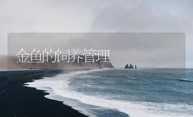 金鱼的饲养管理 | 海水养殖技术