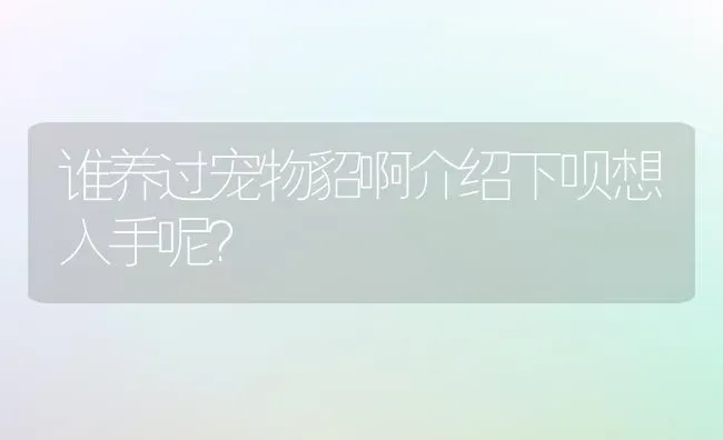 谁养过宠物貂啊介绍下呗想入手呢？ | 动物养殖问答