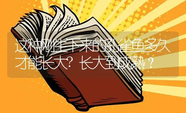 这种刚生下来的孔雀鱼多久才能长大?长大到成熟？ | 鱼类宠物饲养