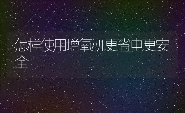 怎样使用增氧机更省电更安全 | 动物养殖饲料