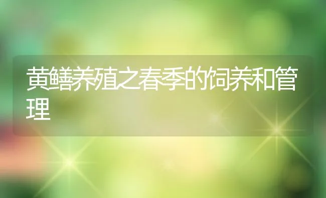 黄鳝养殖之春季的饲养和管理 | 水产养殖知识