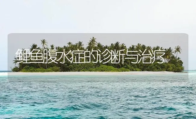 鲤鱼腹水症的诊断与治疗 | 海水养殖技术