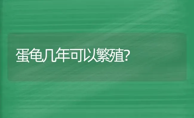 蛋龟几年可以繁殖？ | 动物养殖问答