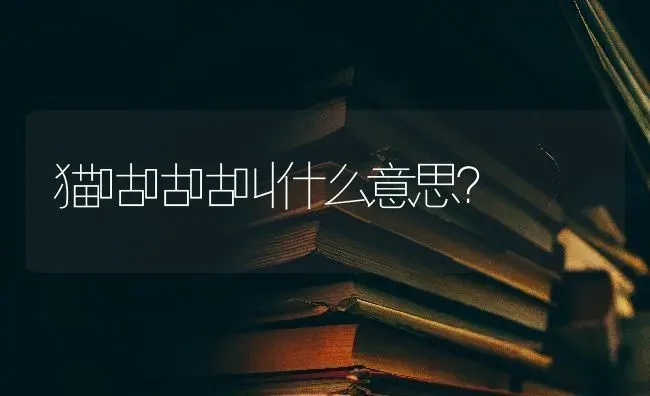 猫咕咕咕叫什么意思？ | 动物养殖问答