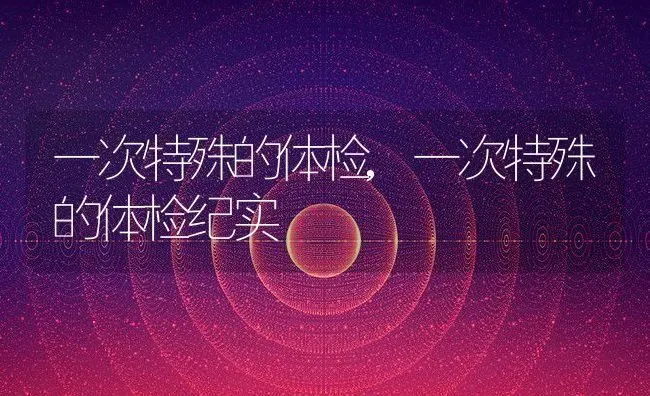 一次特殊的体检,一次特殊的体检纪实 | 宠物百科知识