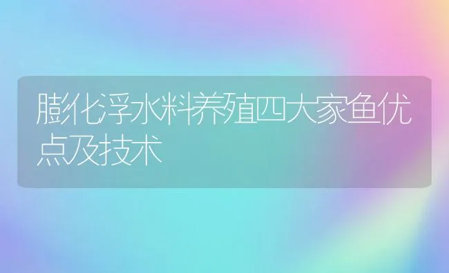 膨化浮水料养殖四大家鱼优点及技术 | 动物养殖饲料