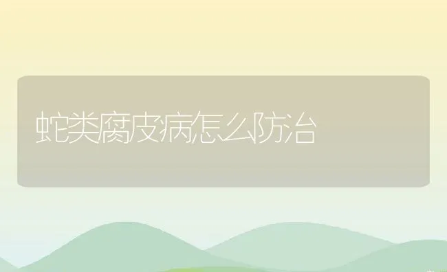 蛇类腐皮病怎么防治 | 动物养殖学堂