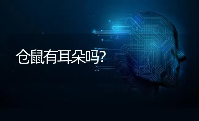 仓鼠有耳朵吗？ | 动物养殖问答