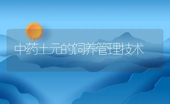 中药土元的饲养管理技术 | 水产养殖知识