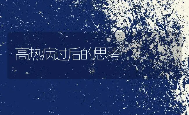 高热病过后的思考 | 动物养殖学堂