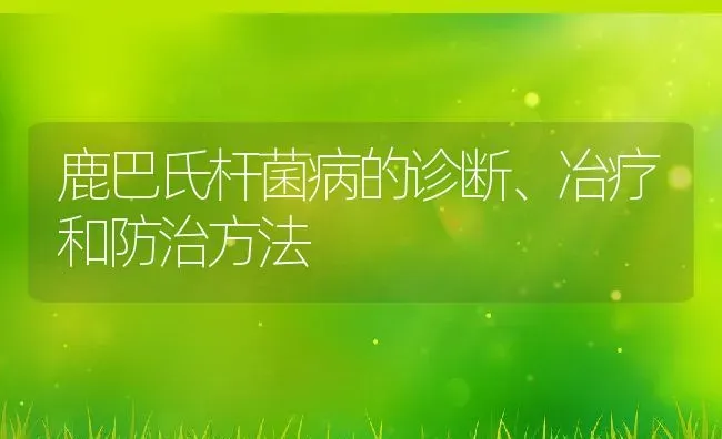 鹿巴氏杆菌病的诊断、冶疗和防治方法 | 动物养殖教程