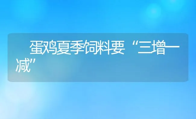 蛋鸡夏季饲料要“三增一减” | 动物养殖饲料