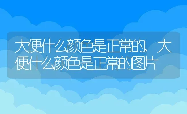 大便什么颜色是正常的,大便什么颜色是正常的图片 | 宠物百科知识