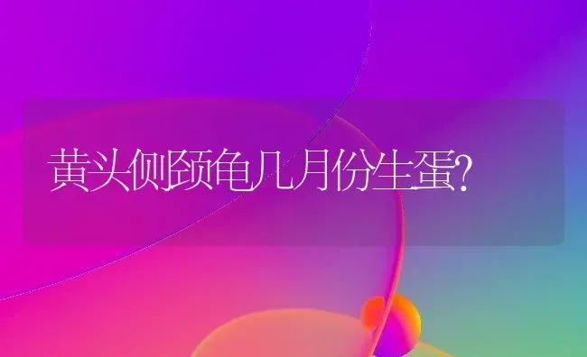 黄头侧颈龟几月份生蛋？ | 动物养殖问答