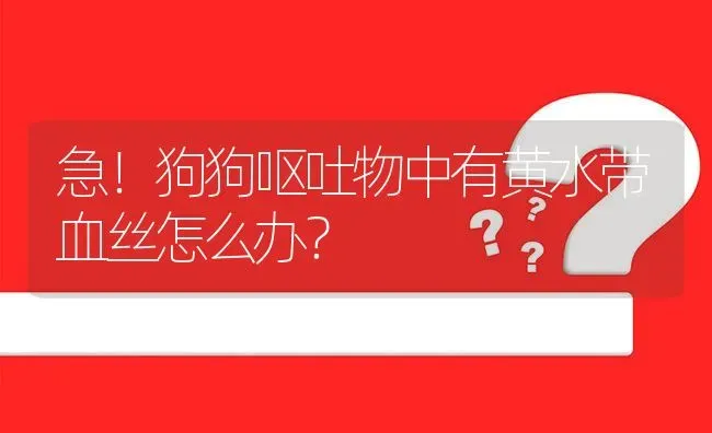 急！狗狗呕吐物中有黄水带血丝怎么办？ | 动物养殖问答