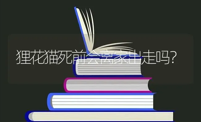 狸花猫死前会离家出走吗？ | 动物养殖问答