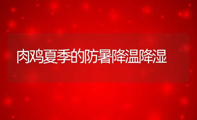 肉鸡夏季的防暑降温降湿 | 动物养殖学堂