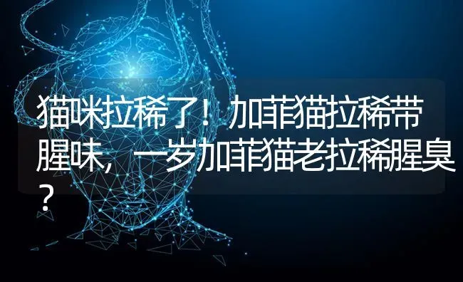 中鲨狗粮和比乐狗粮哪个好？ | 动物养殖问答