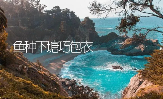 鱼种下塘巧包衣 | 海水养殖技术