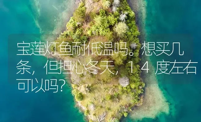 宝莲灯鱼耐低温吗。想买几条，但担心冬天，14度左右可以吗？ | 鱼类宠物饲养