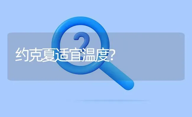 约克夏适宜温度？ | 动物养殖问答