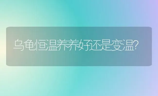 乌龟恒温养养好还是变温？ | 动物养殖问答