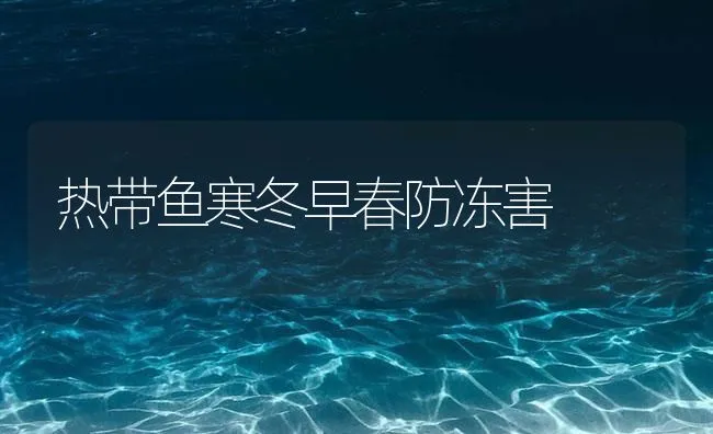 热带鱼寒冬早春防冻害 | 海水养殖技术