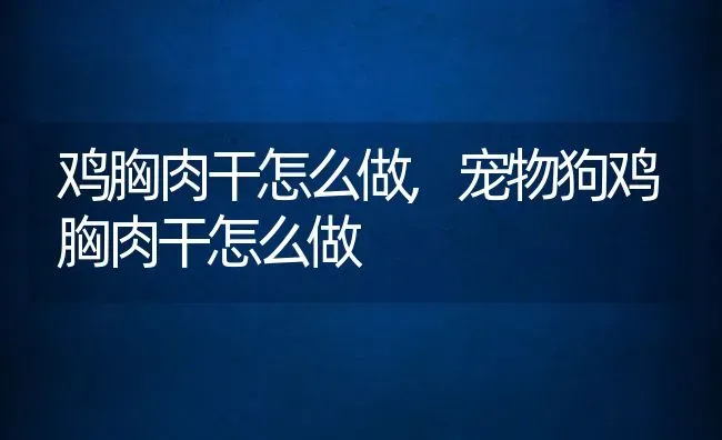 鸡胸肉干怎么做,宠物狗鸡胸肉干怎么做 | 宠物百科知识