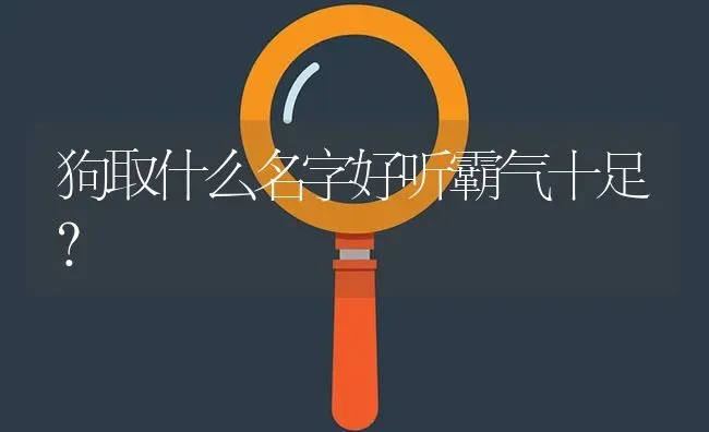 狗取什么名字好听霸气十足？ | 动物养殖问答