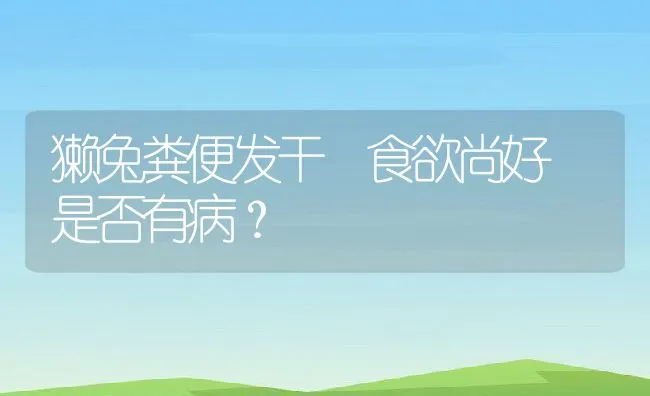 獭兔粪便发干 食欲尚好 是否有病？ | 动物养殖学堂