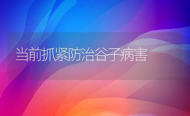 当前抓紧防治谷子病害 | 水产养殖知识