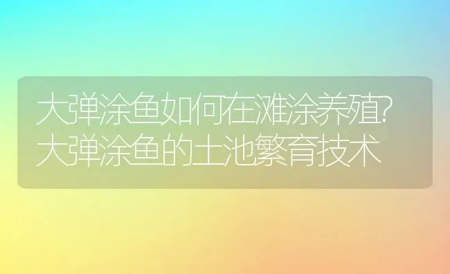 大弹涂鱼如何在滩涂养殖?大弹涂鱼的土池繁育技术 | 动物养殖百科