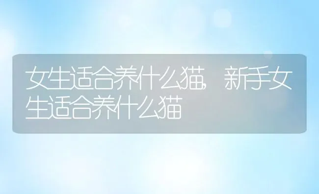 犬窝咳能自愈吗,狗狗犬窝咳能自愈吗 | 宠物百科知识